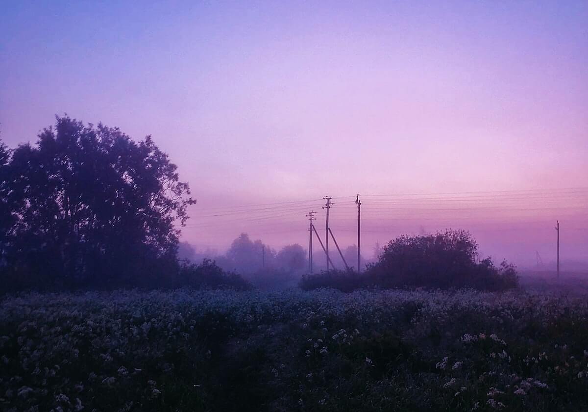 菠萝TV的阅读小动作：盯比较对象是否一致，做把省略补成明说，就够了