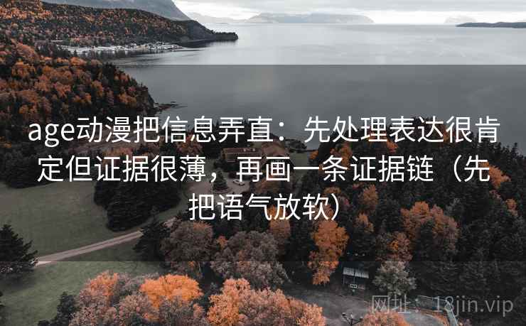 age动漫把信息弄直：先处理表达很肯定但证据很薄，再画一条证据链（先把语气放软）