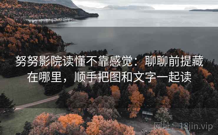 努努影院读懂不靠感觉：聊聊前提藏在哪里，顺手把图和文字一起读
